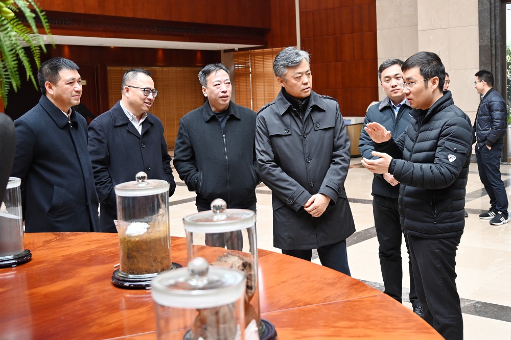 哈希游戏(中国游)官方网站