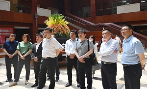 suo-4