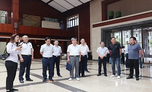 suo-11
