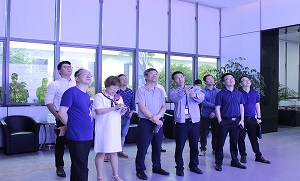 suo-12