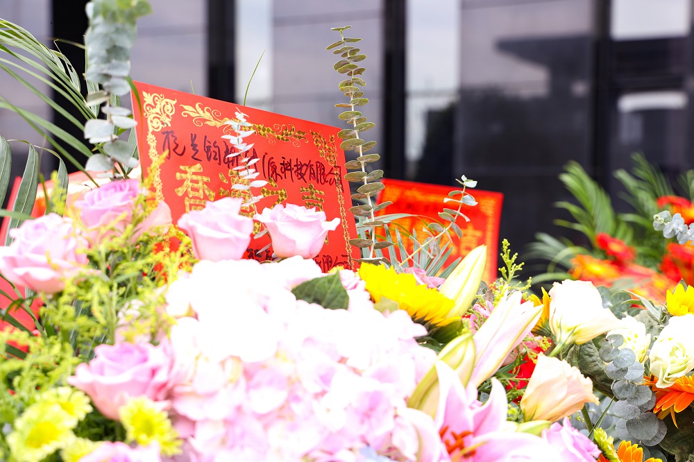 哈希游戏(中国游)官方网站